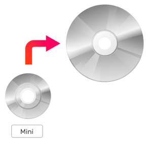 Mini 8cm Camcorder DVD to Large Size DVD or DVD to DVD